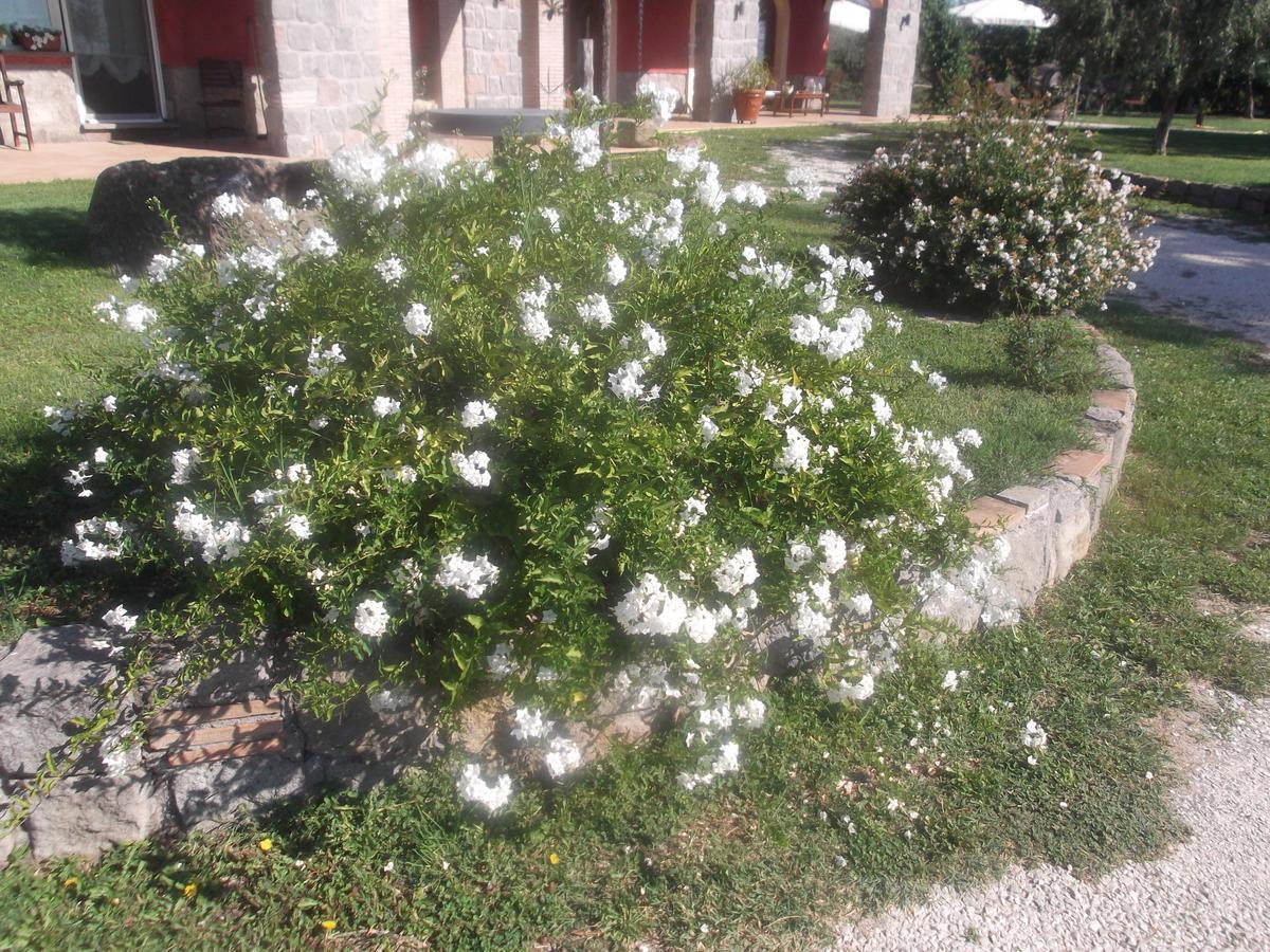 Agriturismo Casal Grande Canepina Buitenkant foto