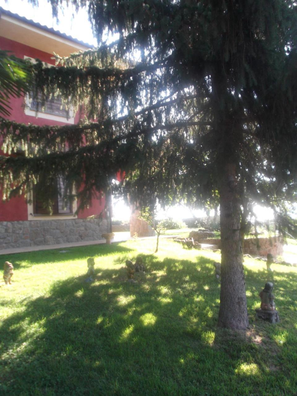 Agriturismo Casal Grande Canepina Buitenkant foto
